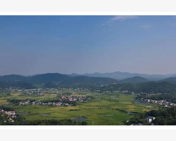 脸上长肝斑该如何调理？解析中医科普知识，帮你找到有效治疗方法！